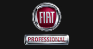 Fiat Professional Logo